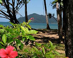 View to Dunk Island