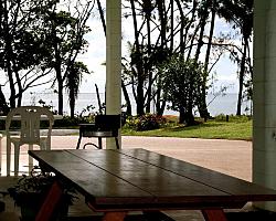 View from Patio