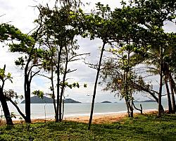 Beach Foreshore