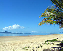 To Dunk Island