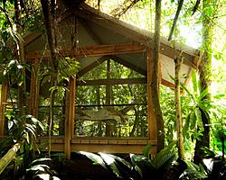 Body Temple