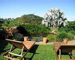 Sunloungers and Lillypond