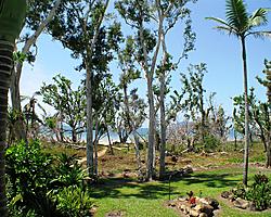 View to Beach