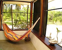 Hammock to View