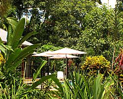Gardens to Pool