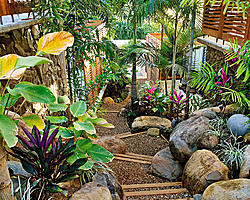 Tropical Gardens