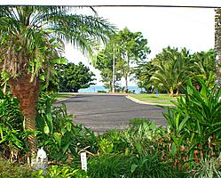 Veiw from Daybed