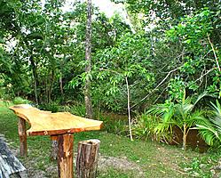 Garden Bar