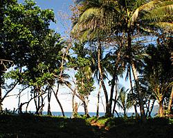 Path to Beach
