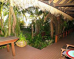 Deck to Dunk Island