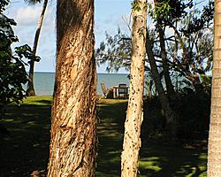 Beach Chairs