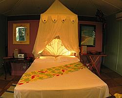 Queen Bed