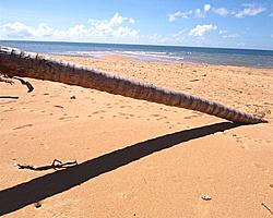 Beach in Front April 2011