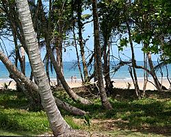 Foreshore and Beach