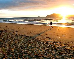 Sunrise Walker