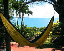 Hammock